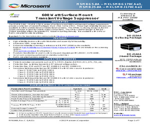 MSMBJ43CA.pdf