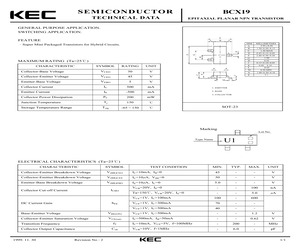 BCX19.pdf