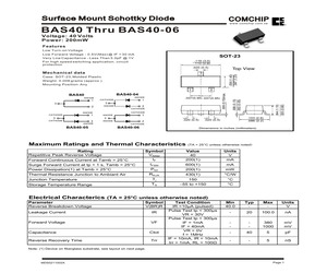 BAS40-06.pdf