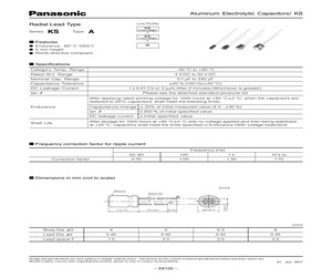 ECEA1AKS101(B).pdf