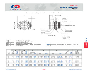 MS3474L22-21SY.pdf